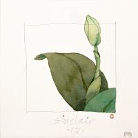 Robert Sinclair: Breathfull watercolour 6 x 6"