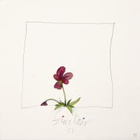 Robert Sinclair, Late Jump, watercolour, 6 x 6"