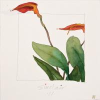 Robert Sinclair, The Muttart Suite, watercolour, 6 x 6"