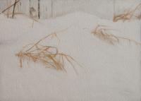 Matthew Tarini, Snow Reeds, oil on canvas on gatorboard, 5 x 7"