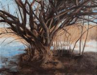 Matthew Tarini "Sunlit Tree II" oil on linen mounted on dibond 7 x 9"