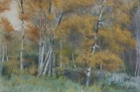 Poplars, acrylic on canvas 36.5 x 52"